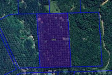 TANAH 6 EKAR @ KG LUKUT, KOTA TINGGI FOR SALE