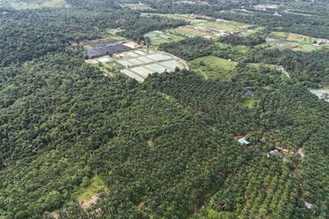 TANAH 6 EKAR @ KG LUKUT, KOTA TINGGI FOR SALE