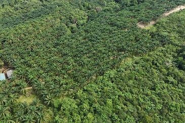 TANAH 6 EKAR @ KG LUKUT, KOTA TINGGI FOR SALE