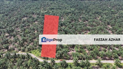 TANAH 2.5 EKAR @ TELUK KERANG, PONTIAN UNTUK DIJUAL, Johor, Pontian