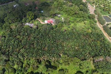 TANAH 2.85 ACRE @ GELANG PATAH FOR SALE