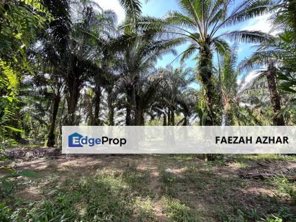 TANAH 2.85 ACRE @ GELANG PATAH FOR SALE, Johor, Gelang Patah