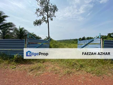 TANAH PERTANIAN 2.5 EKAR @ KG SG PACHAT, PENGERANG UNTUK DIJUAL, Johor, Kota Tinggi