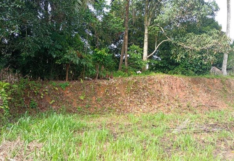 TANAH LOT KEDIAMAN @ KG GAJAH, KLUANG UNTUK DIJUAL