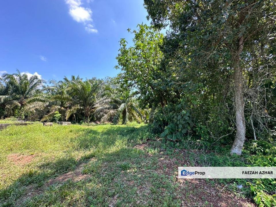 TANAH PERTANIAN SESUAI BUAT RUMAH @ KG NANING, MUAR UNTUK DIJUAL, Johor, Muar