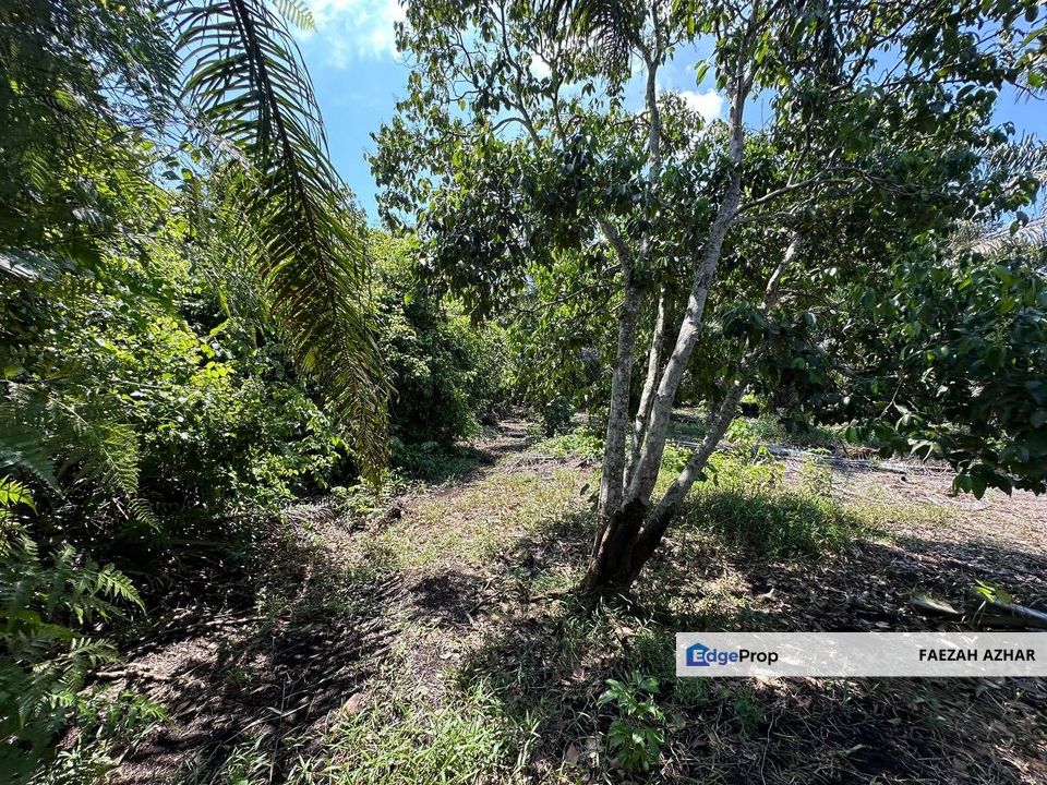 TANAH PERTANIAN SESUAI BUAT RUMAH @ KG NANING, MUAR UNTUK DIJUAL, Johor, Muar