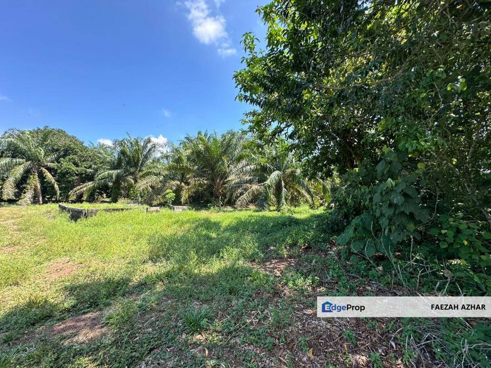 TANAH PERTANIAN SESUAI BUAT RUMAH @ KG NANING, MUAR UNTUK DIJUAL, Johor, Muar