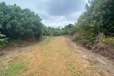 JALAN JEMALUANG, MERSING : Tanah 4 Ekar Utk Dijual