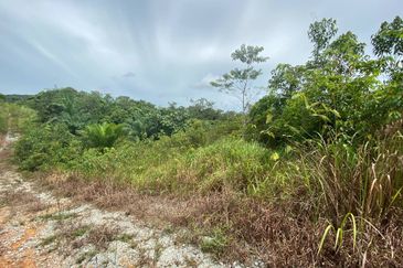 JALAN JEMALUANG, MERSING : Tanah 4 Ekar Utk Dijual