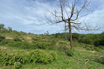 Kawasan Perindustrian Seelong