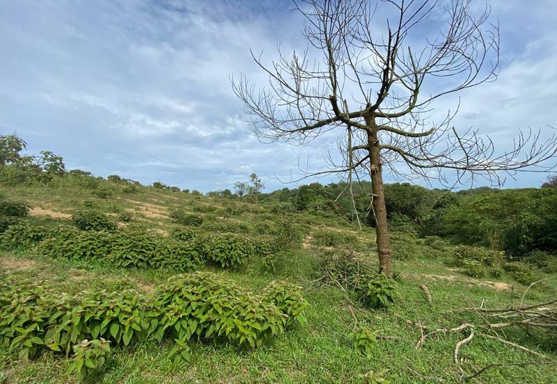 Kawasan Perindustrian Seelong