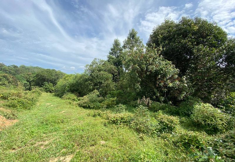 Kawasan Perindustrian Seelong