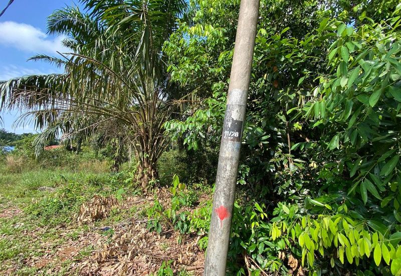 Tanah Sesuai Buat Rumah @ Kg Sri Makmor, Pagoh Utk Dijual