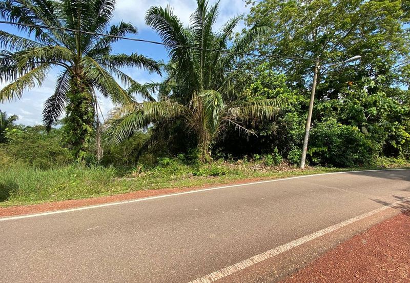 Tanah Sesuai Buat Rumah @ Kg Sri Makmor, Pagoh Utk Dijual
