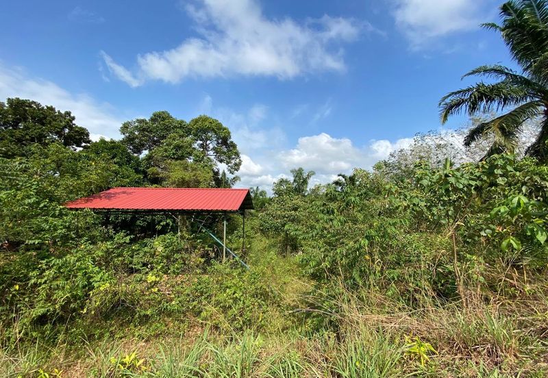 Tanah Sesuai Buat Rumah @ Kg Sri Makmor, Pagoh Utk Dijual