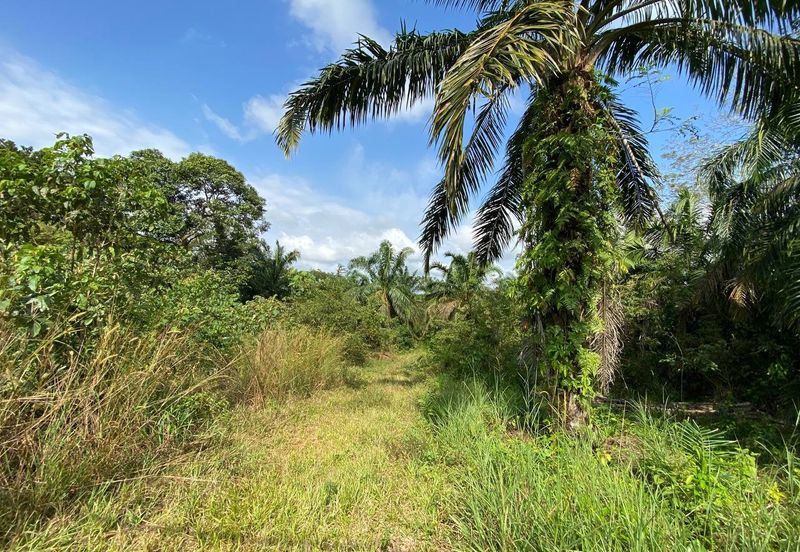 Tanah Sesuai Buat Rumah @ Kg Sri Makmor, Pagoh Utk Dijual