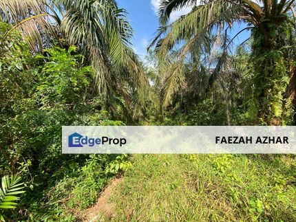 Tanah Sesuai Buat Rumah @ Kg Sri Makmor, Pagoh Utk Dijual, Johor, Pagoh