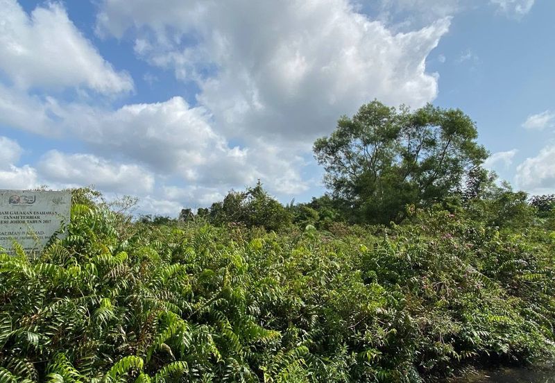 TANAH KOSONG 3 EKAR @ PAGOH FOR SALE