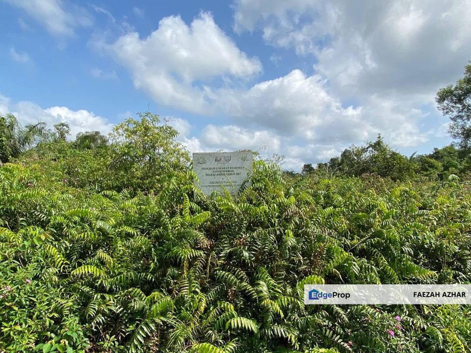 TANAH KOSONG 3 EKAR @ PAGOH FOR SALE, Johor, Pagoh