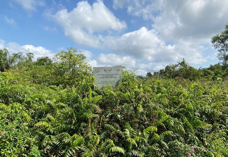 TANAH KOSONG 3 EKAR @ PAGOH FOR SALE