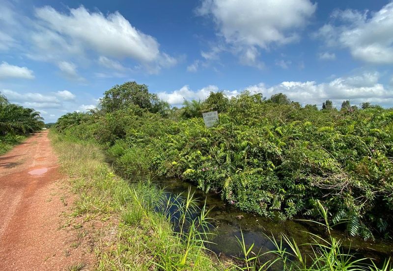 TANAH KOSONG 3 EKAR @ PAGOH FOR SALE