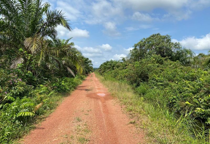 TANAH KOSONG 3 EKAR @ PAGOH FOR SALE