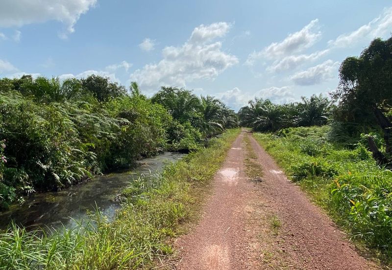 TANAH KOSONG 3 EKAR @ PAGOH FOR SALE