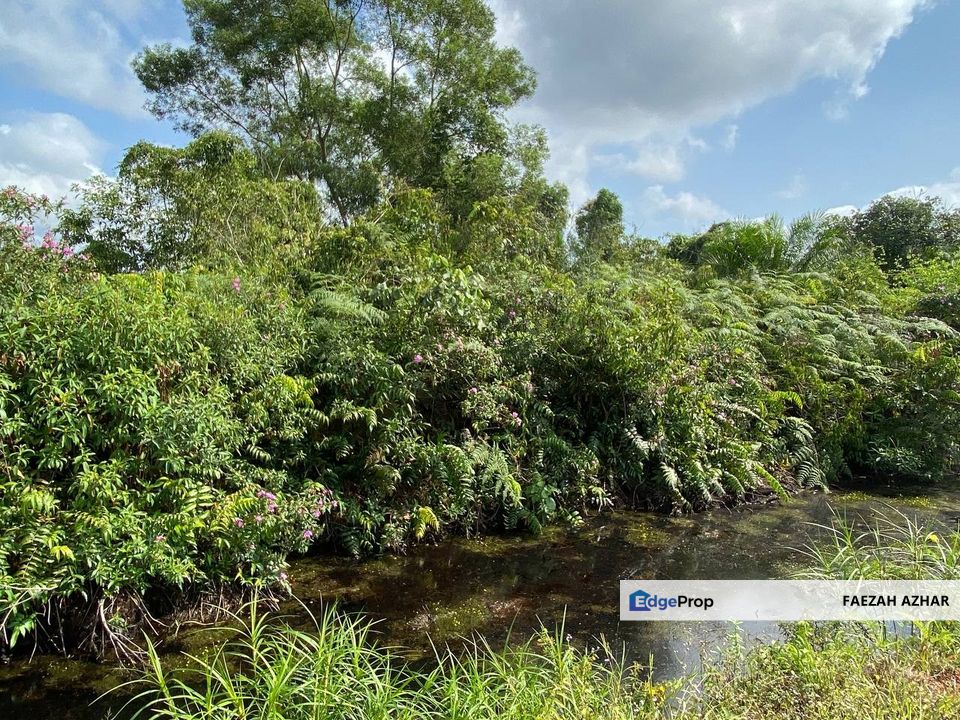 TANAH KOSONG 3 EKAR @ PAGOH FOR SALE, Johor, Pagoh