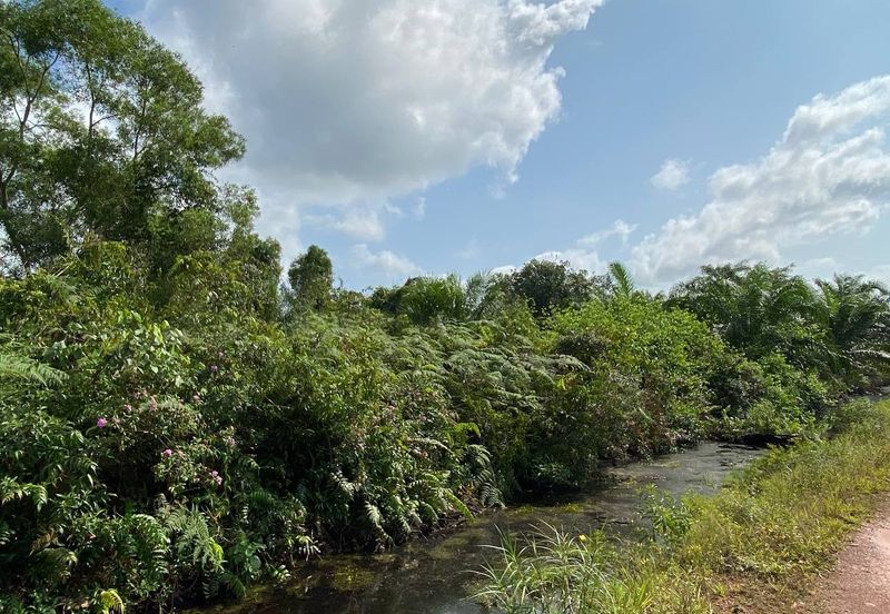 TANAH KOSONG 3 EKAR @ PAGOH FOR SALE