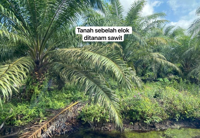 TANAH KOSONG 3 EKAR @ PAGOH FOR SALE