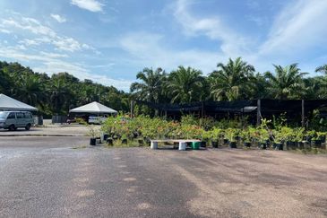 Kampung Baru Jemaluang