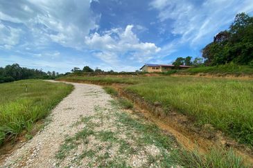 TANAH LOT TELUK ISKANDAR, MERSING FOR SALE (2049)