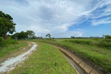 TANAH SAWAH @ SEMALOI, MERSiNG FOR SALE