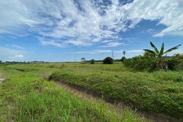 TANAH SAWAH @ SEMALOI, MERSiNG FOR SALE