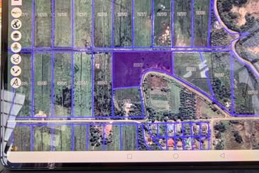 TANAH SAWAH @ SEMALOI, MERSiNG FOR SALE