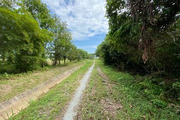 TANAH SAWAH @ SEMALOI, MERSiNG FOR SALE