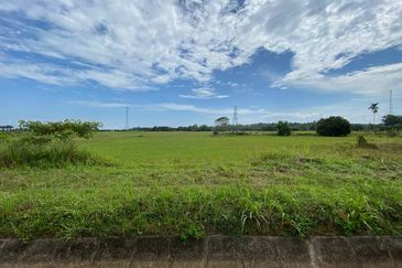 TANAH SAWAH @ SEMALOI, MERSiNG FOR SALE