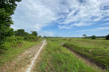 TANAH SAWAH @ SEMALOI, MERSiNG FOR SALE