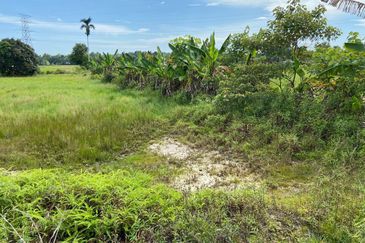 TANAH SAWAH @ SEMALOI, MERSiNG FOR SALE