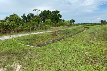 TANAH SAWAH @ SEMALOI, MERSiNG FOR SALE