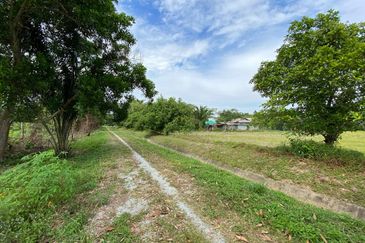 TANAH SAWAH @ SEMALOI, MERSiNG FOR SALE