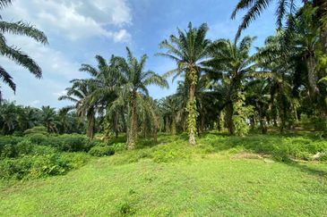 TANAH 2 EKAR BESERTA 2 RUMAH DI KOTA TINGGI UTK DIJUAL