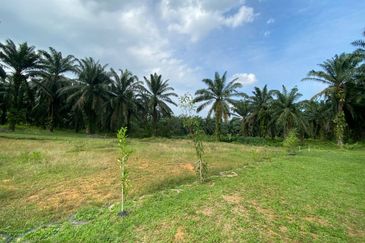 TANAH 2 EKAR BESERTA 2 RUMAH DI KOTA TINGGI UTK DIJUAL