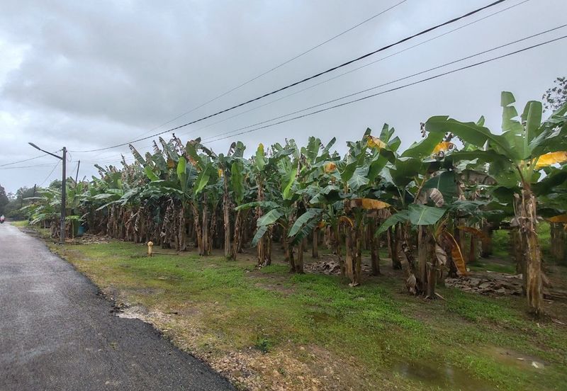 TANAH LOT GERAN INDIVIDU @ PARIT SIKOM, PONTIAN UNTUK DIJUAL