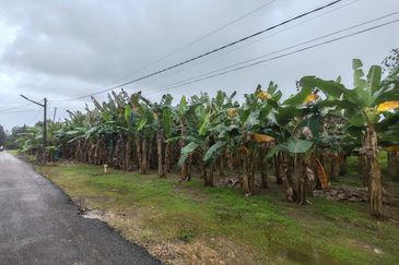 TANAH LOT GERAN INDIVIDU @ PARIT SIKOM, PONTIAN UNTUK DIJUAL