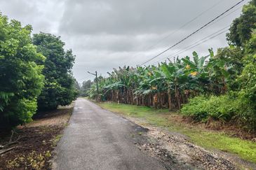 TANAH LOT GERAN INDIVIDU @ PARIT SIKOM, PONTIAN UNTUK DIJUAL