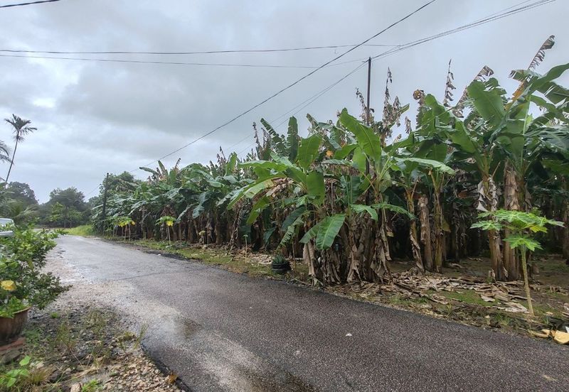 TANAH LOT GERAN INDIVIDU @ PARIT SIKOM, PONTIAN UNTUK DIJUAL