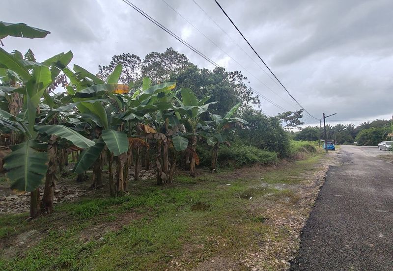 TANAH LOT GERAN INDIVIDU @ PARIT SIKOM, PONTIAN UNTUK DIJUAL