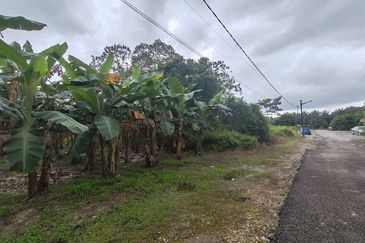 TANAH LOT GERAN INDIVIDU @ PARIT SIKOM, PONTIAN UNTUK DIJUAL