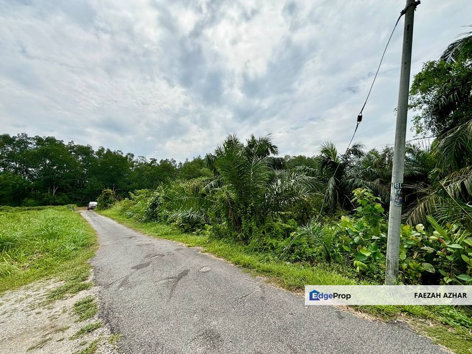 TANAH PERTANIAN 2 EKAR @ PEKAN NENAS, PONTIAN FOR SALE, Johor, Pontian